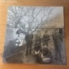 LOS PEKENIKES. ALARMA. HISPAVOX. AÑO 1969.