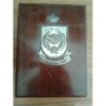 FAMET INTENDENCIA.ESCUDO DE LAS FUERZAS AEROMOVILES DEL EJERCITO DE TIERRA.METOPA ANTIGUA.PLATA 925.