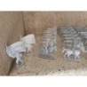 MINIATURAS MILITARES. 45 FIGURAS ESTAÑO PLOMO.
