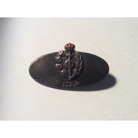 ACAIP-FUNCIONARIO DE PRISIONES-INSIGNIA PIN.